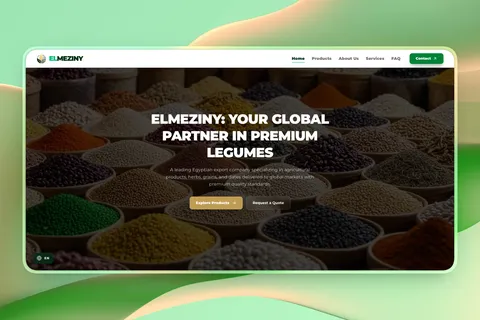 ELMEZINY Import & Export Website preview